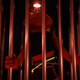 Image for article titled It’s a Very Merry Muppet Christmas Movie Is the Maddest Muppet Special Ever